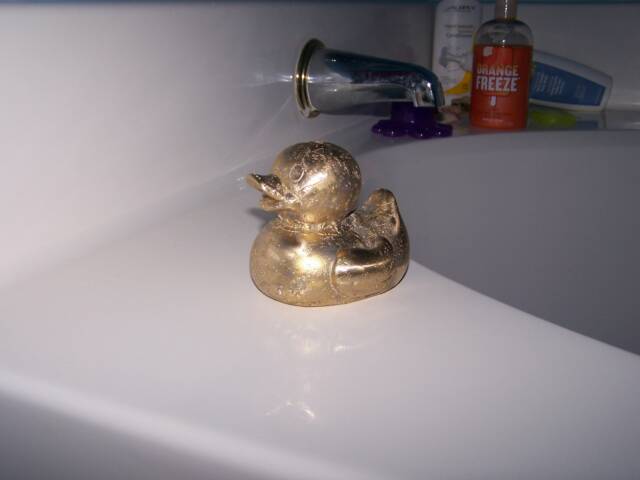 brass duck on tub